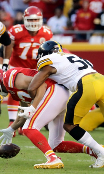 Haden's arrival hastens maturation of Steelers' secondary